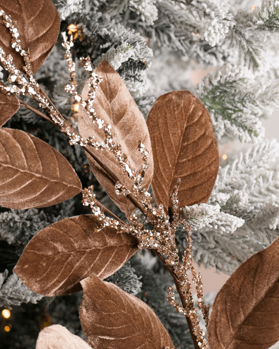 The Mocha Tree Set
