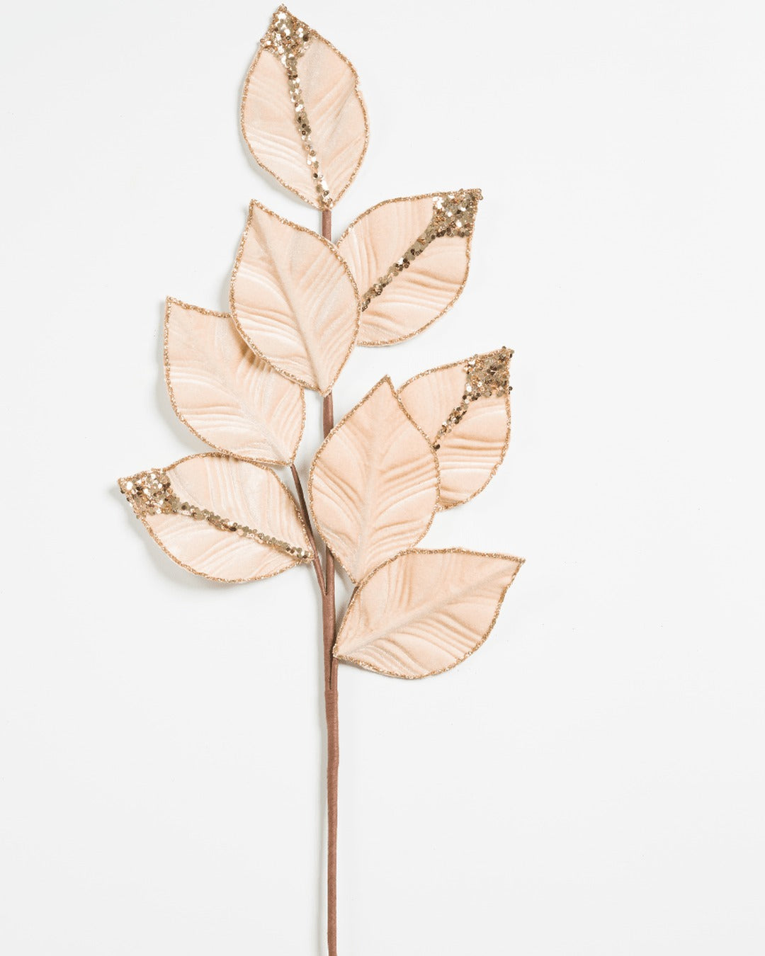 The Mocha Tree Set