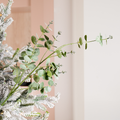 Green Eucalyptus Botanical Pick