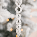 Clear Glass Hanging Ornament