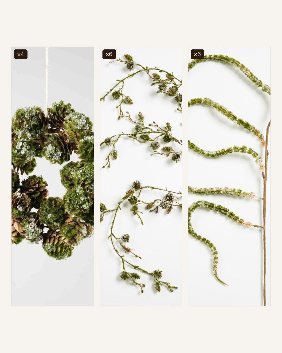 The Botanica Set