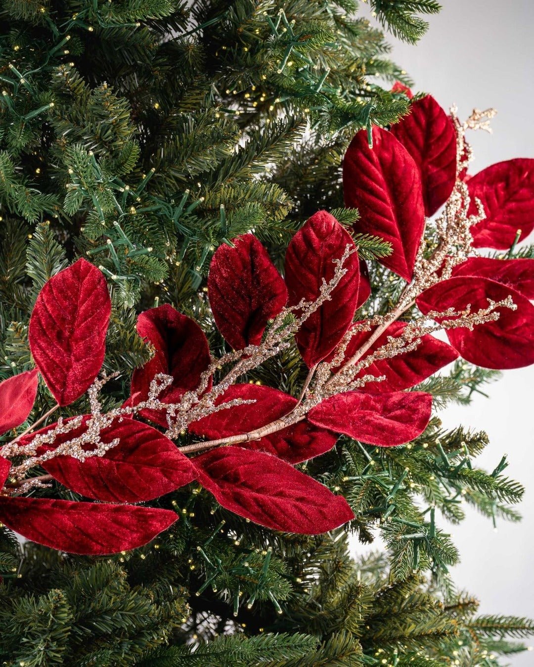 The Complete Burgundy Tree Set