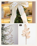 The Mocha Tree Essentials Set